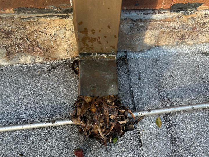 blocked gutters and roof leaks causing overflowing stormwater and water damage