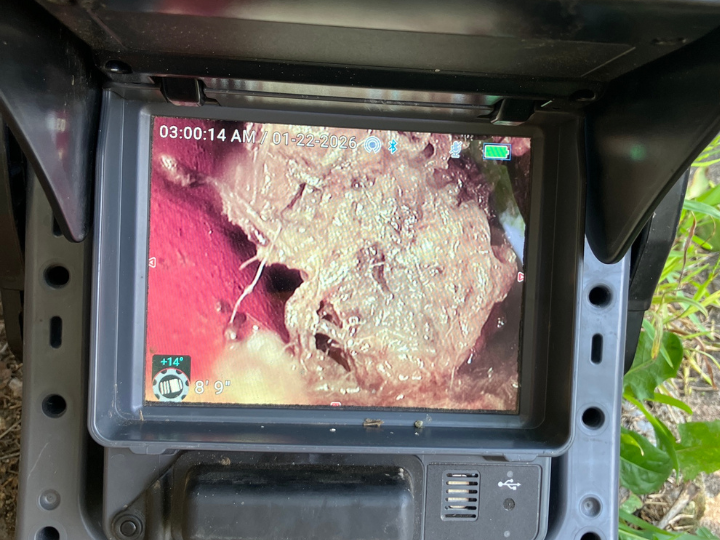 recurring blocked drains caused by tree roots in underground pipes
