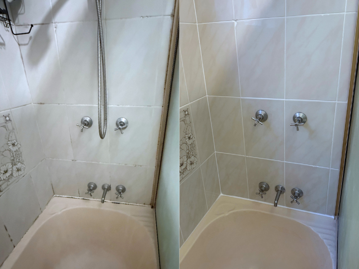 professional leaking shower repairs without removing tiles